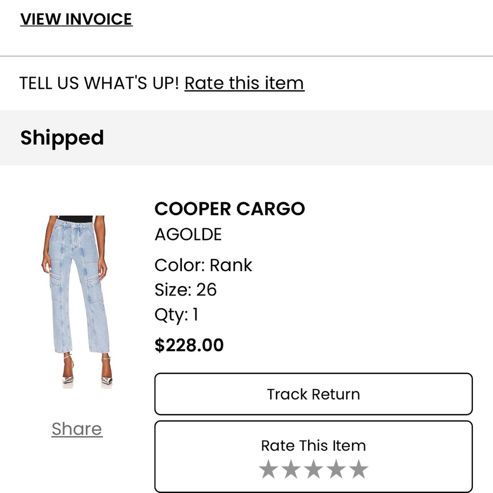 Agolde Cargo Jeans